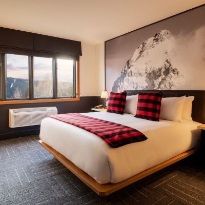 One Bedroom King Suite with Kitchen and Sofa Bed Mountain Modern Motel Promo Code