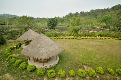 Mandu the Escape Hotels in 