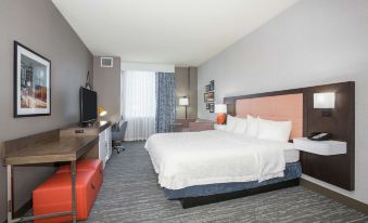 Hampton Inn & Suites Denver-Downtown