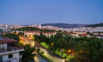 Athens Panorama Project