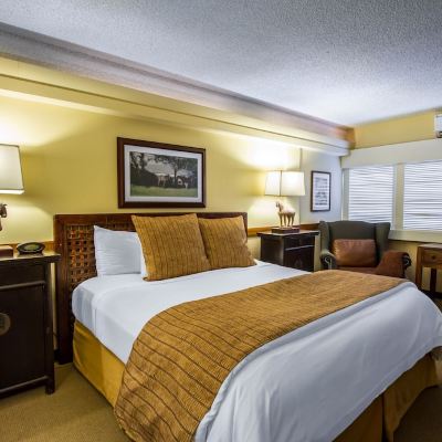 Executive King Room with City View The Equus Promo Code