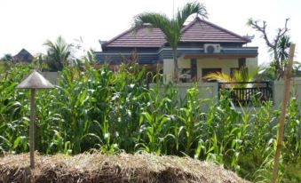 Pondok Sawah Asri