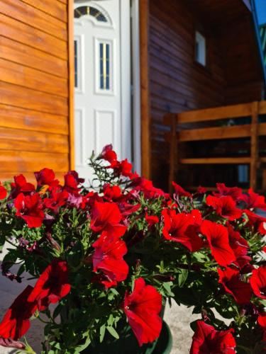 Cottage Danilo Superior Chalet