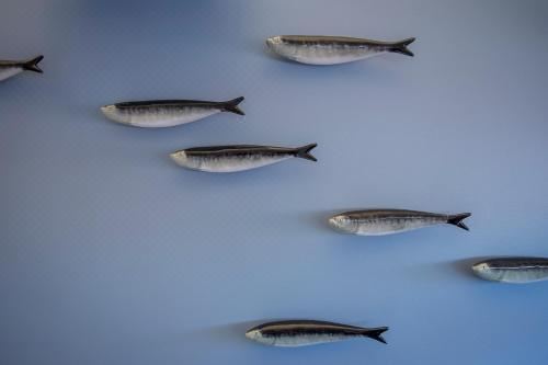 双人房（带公共浴室）