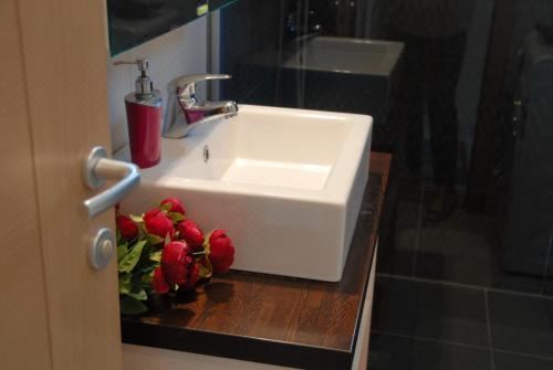 舒适海景一室公寓 - 带阳台