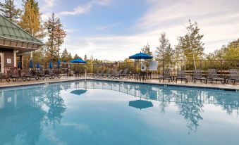 a swimming pool surrounded by lounge chairs and umbrellas , with trees in the background , under a clear blue sky at Hilton Vacation Club Lake Tahoe Resort South