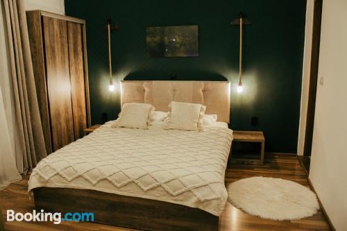 带加床的双人房