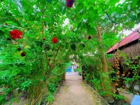 Soeliana Resort Hotels in 