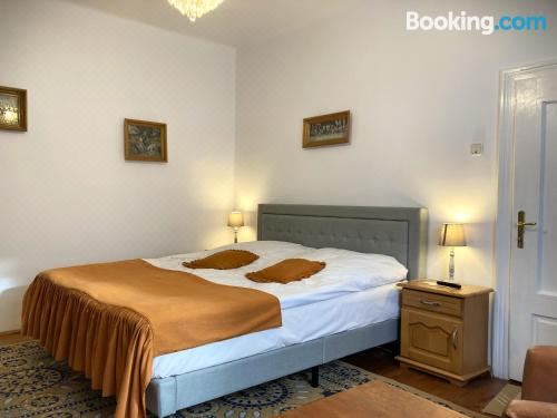 Pensiunea Casa-Stefanel Double Room with Private Bathroom