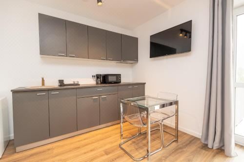 Walter Studio Sinaia One-Bedroom Apartment