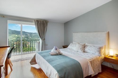 高级一卧室公寓