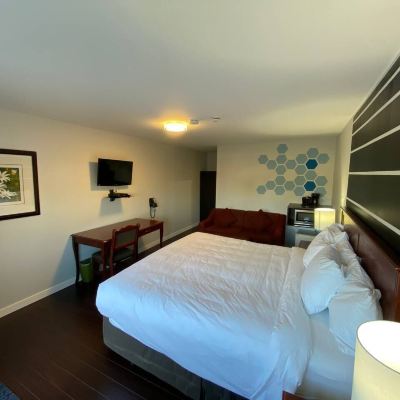 Luxury King Room With Sofa Bed Bavarian Inn Promo Code