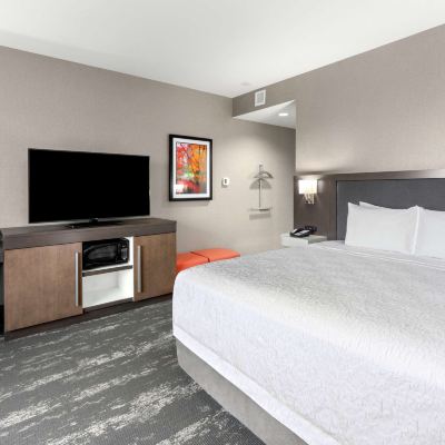 Room, 1 King Bed, Refrigerator & Microwave, City View
