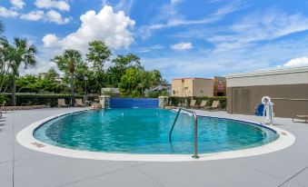 Comfort Inn & Suites St Pete - Clearwater International Airport