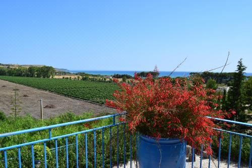 一室房（带阳台）