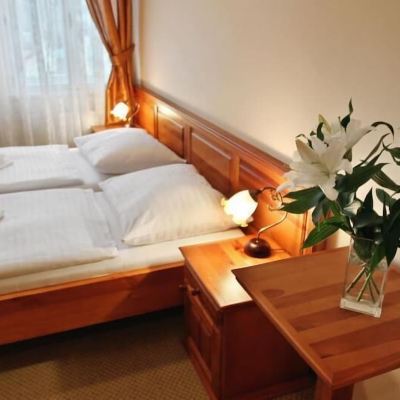 Classic Double or Twin Room, 1 Bedroom Hotel Liliova Prague Old Town Promo Code