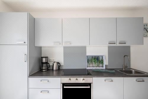 高级一卧室公寓