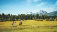 Walk to Downtown Sisters - Dog Friendly - Updated!