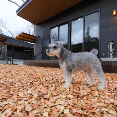 スイート(ツインベッド) オーベルジュ　別邸　山風木 クーポン