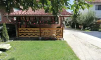 Pensiunea Ioana Hotels in 