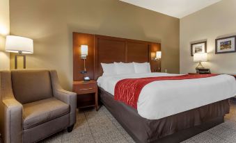 Comfort Inn & Suites Streetsboro - Kent