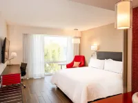 Fiesta Inn Celaya Galerias Hotels in Celaya