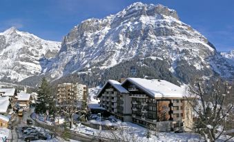 a snow - covered mountain with a ski resort in the background , surrounded by trees and buildings at Sunstar Hotel & Spa Grindelwald