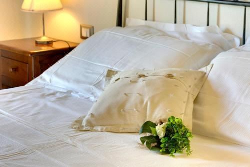 享有花园景致的公寓