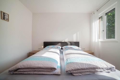 高级一卧室公寓