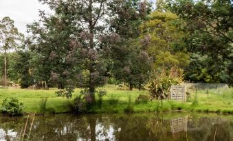 a serene pond surrounded by lush green grass and trees , with a sign in the background at Giants Table and Cottages