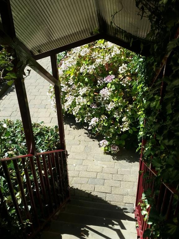 双人房（连通浴室）