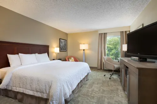 Hampton Inn Houston-Near the Galleria