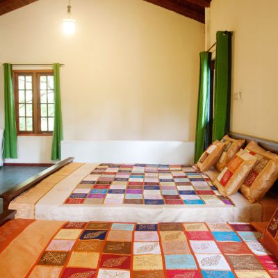 Family Room Raintree Promo Code