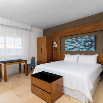 園景豪華特大床間（Palmilla） 洛斯卡沃斯水晶大酒店 - 全包優惠