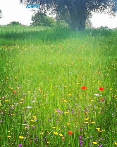 小型套房 - 带私人浴室