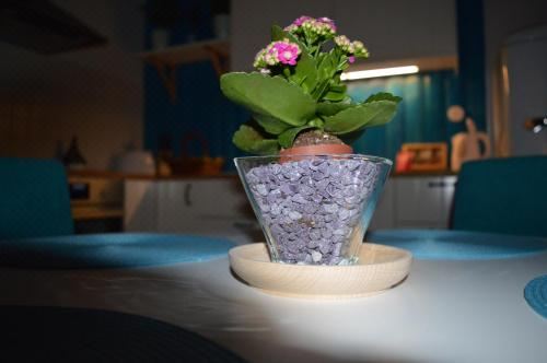 公寓 - 带桑拿浴室