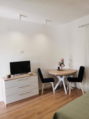 带露台一室公寓