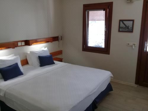 标准双人或双床房