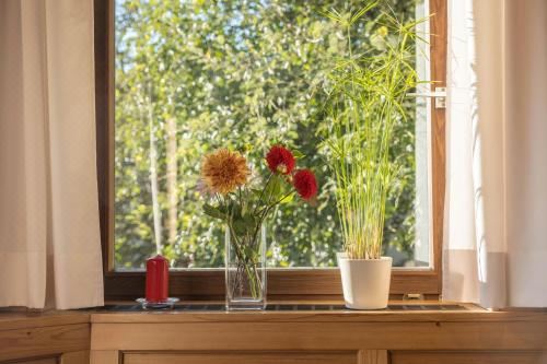 高级一卧室带阳台公寓