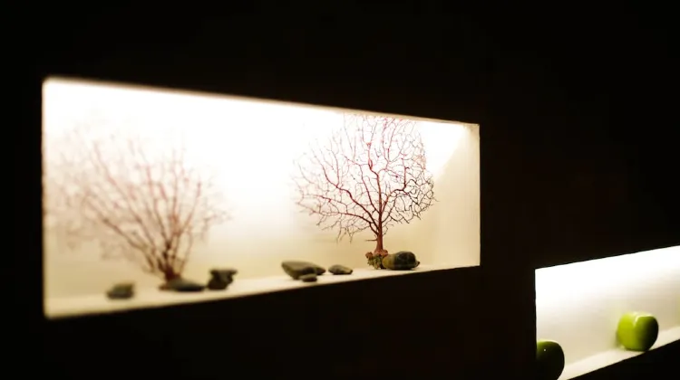 ポート パレス 施設