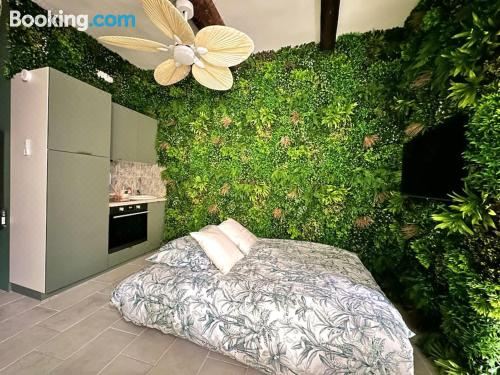 Appartement Jungle Chic Pour Couple Avec Parking Centre de N?mesOne-Bedroom Apartment