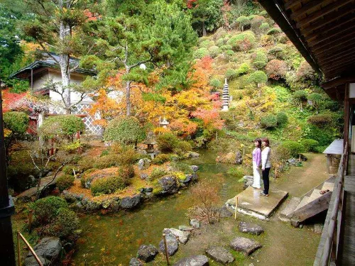 遍照光院