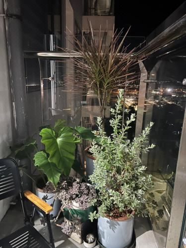 Chi Homestay Nera Garden Hu? Two-Bedroom Apartment