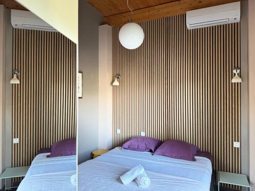 别墅（带独立泳池）