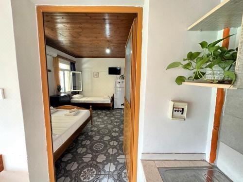 家庭套房 - 带阳台