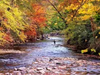 Cozy & Convenient Stone Mountain hideawy ... closest to the State Park! Ξενοδοχεία στην πόλη Traphill