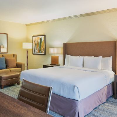1 King-Mountain View-Patio Or Balcony El Conquistador Tucson, A Hilton Resort Promo Code