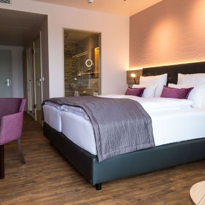 Comfort Double Room-Main Building Rebhan´s Business Und Wellness Hotel Promo Code