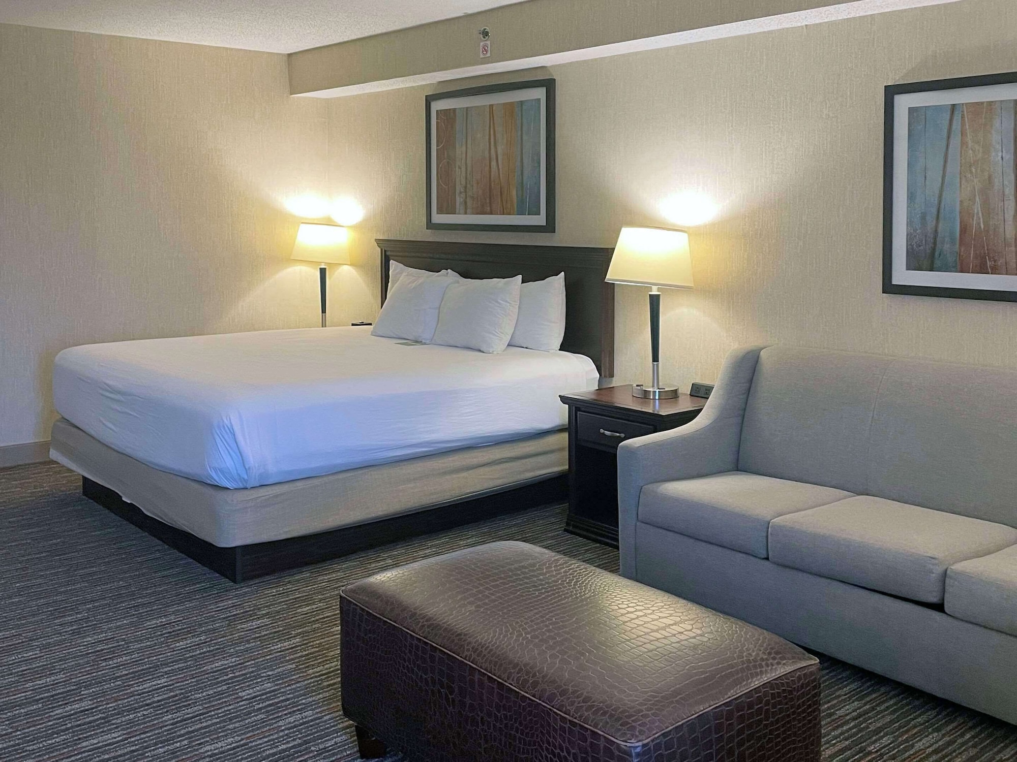 标准房， 1张特大床， 无烟房 （较大的房间）