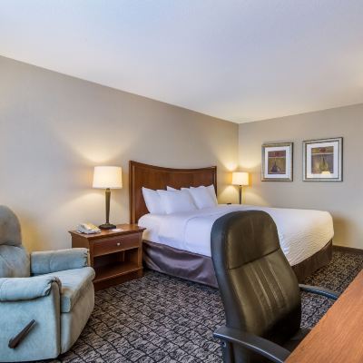 Business Room Cayuga Blu Hotel Promo Code